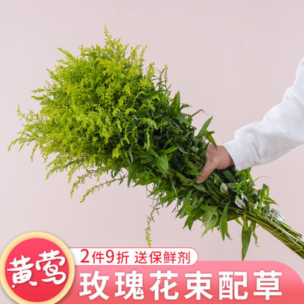黄莺草花云南基地直发鲜切花水养插瓶红豆洋甘菊尤加利叶花束配草