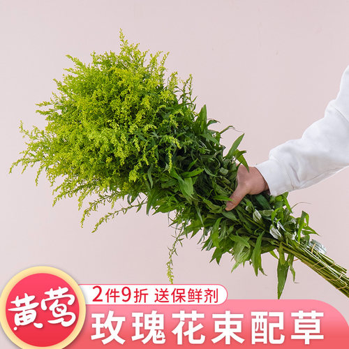 云南基地直发黄莺草花束配草