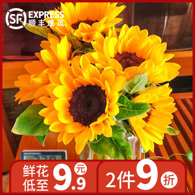 向日葵花束鲜花同城 相关商品 价格 图片 优惠券 向日葵花束鲜花同城相关淘宝天猫折扣查询 淘优券