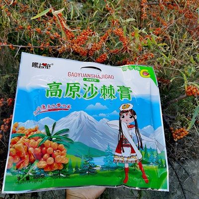 若尔盖包装五香麻辣228g手撕牛肉
