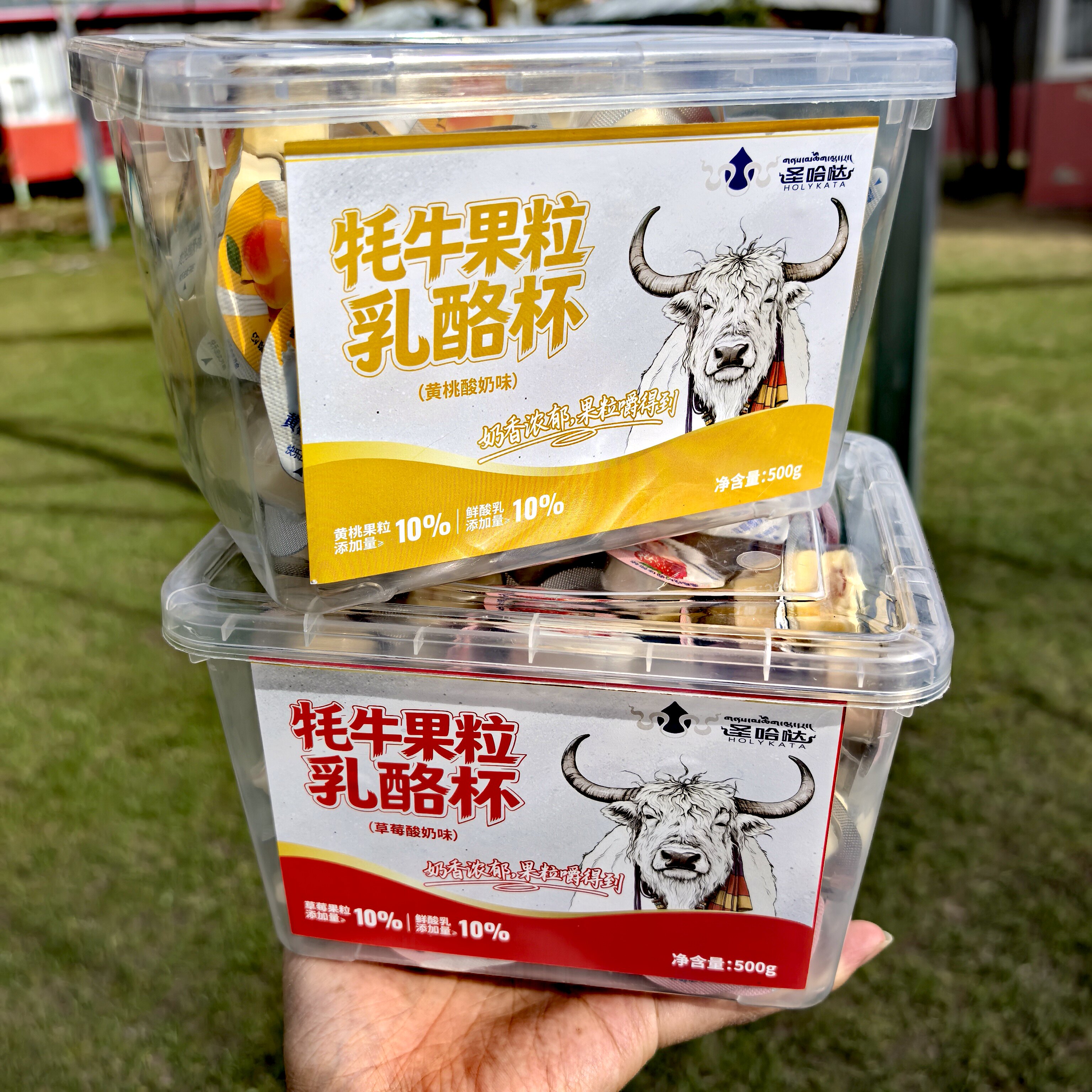 阿坝九寨沟特产圣哈达牦牛果粒乳酪杯草莓酸奶味黄桃酸奶味500g