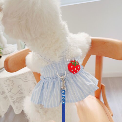牵引绳可爱公主背带裙胸背裙宠物猫咪比熊泰迪狗狗衣服春夏装