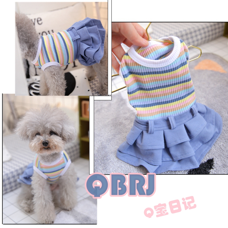 博美犬衣服制作过程图片