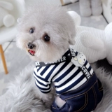 ПЭТ Баррин Сельдерей Снежный маленький Инуярд Собака для собак Осени и зимняя весна четыре команды продвинулись в серых