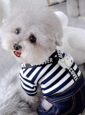 宠物比熊雪纳瑞小型犬泰迪狗狗衣服秋冬装春装四脚衣高级感灰色