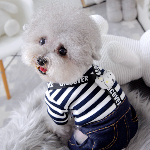 狗狗高级感灰背带四脚衣冬款加厚