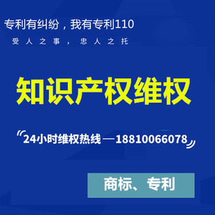 知识产权专利商标维权侵权投诉代理