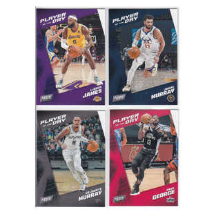 球星卡勒布朗詹姆斯贾马尔德章泰穆雷保罗乔治帕尼尼21-22节日包