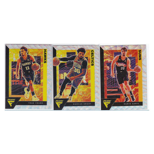 球星卡 特雷杨 斯玛特 萨里奇 折射 帕尼尼20-21flux