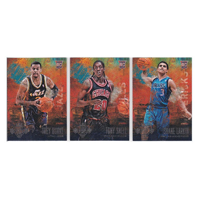 球星阿卡 伯克 斯内尔 拉金 新秀 帕尼尼13-14油画