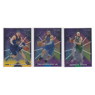 球星卡 阿隆戈登 蒂姆哈达威 德里克怀特帕尼尼20-21recon