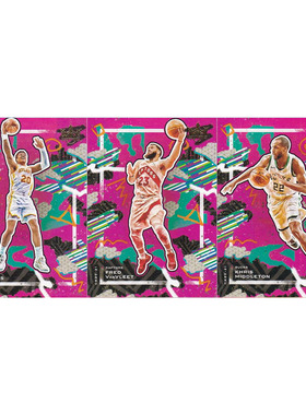 NBA球星卡 科林斯 范弗利特 米德尔顿 帕尼尼20-21油画