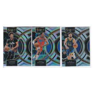 球星卡 约翰逊杰伦威廉姆斯克莱汤普森银折射帕尼尼23-24select