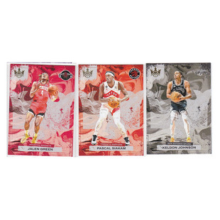 球星卡杰伦格林 西亚卡姆 凯尔登约翰逊帕尼尼23-24油画