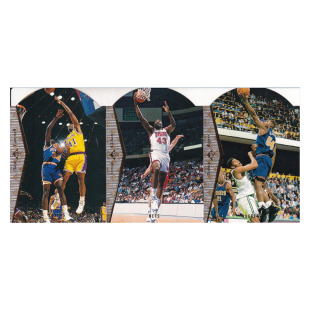 NBA球星卡 埃尔登坎贝尔 基利亚姆 罗杰斯 切割 UD1995