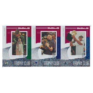 NBA球星卡 皮尔斯克莱汤普森特里 粉色捧杯特卡帕尼尼19-20status