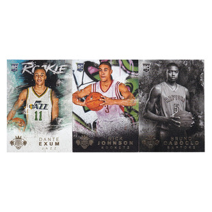 球星卡 艾克萨姆 尼克约翰逊 卡波诺新秀帕尼尼14-15油画