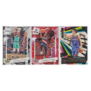 球星卡凯尔登约翰逊 利拉德约什吉迪帕尼尼22-23油画