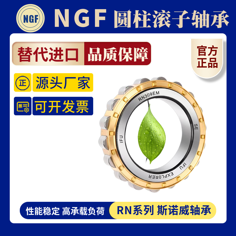 天马减速机偏心轴承RN202EM RN203EM RN204EM RN205EM RN206EM