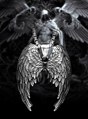 双面雕刻天使之翼吊坠项链男款小众款潮配饰钛钢羽毛翅膀毛衣链