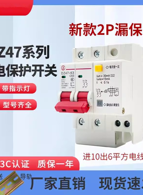 正品行货漏电开关DZ47LE2P63A空气开关带漏电保护器新款断路器C45