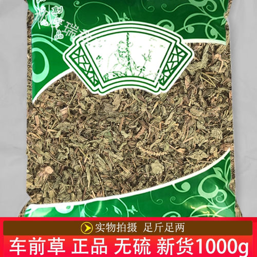 安国中药材市场批 发无硫新货车前草1000克正品 无杂质车前草切段