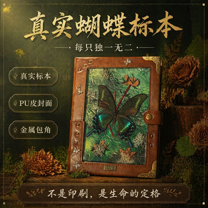 教师节送老师特别创意男女同学朋友生日开学灵魂礼物原创手工蝴蝶