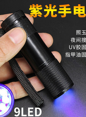 9LED紫光手电筒 UV紫外线验钞灯395荧光检测灯紫光灯厂家直销批发
