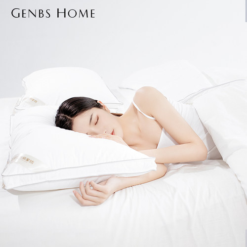 晋帛全棉双人助眠防螨宿舍枕头