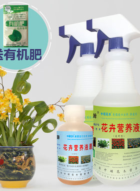 家庭园艺花卉营养液花肥绿箩君子兰多肉绿植通用型浓缩型发财树