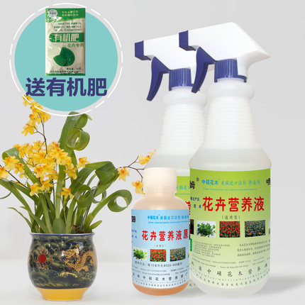 家庭园艺花卉营养液花肥绿箩君子兰多肉绿植通用型浓缩型发财树