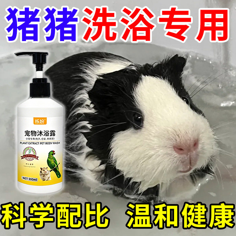 荷兰猪沐浴露除臭专用豚鼠荷兰猪沐浴露抗菌除臭除螨豚鼠洗澡用品