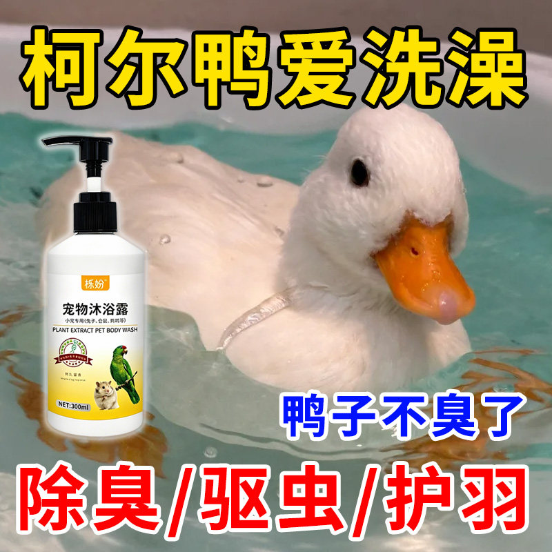 柯尔鸭沐浴露除臭专用豚鼠荷兰猪沐浴露抗菌除臭除螨豚鼠洗澡用品