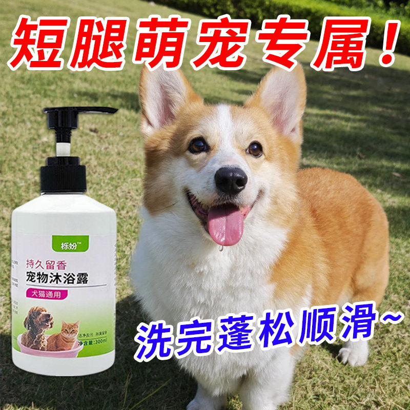 柯基专用沐浴露亮白去黄狗狗白毛犬沐浴液宠物狗清洁用品香波