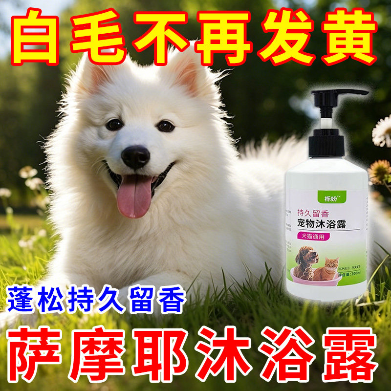 萨摩耶专用沐浴露亮白去黄狗狗白毛犬沐浴液宠物狗清洁用品香波