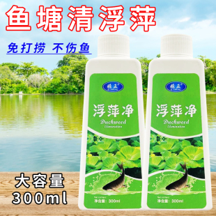 养殖不伤藕虾蟹圆心萍浮净化水质绿藻青苔水藻褐藻浮萍净