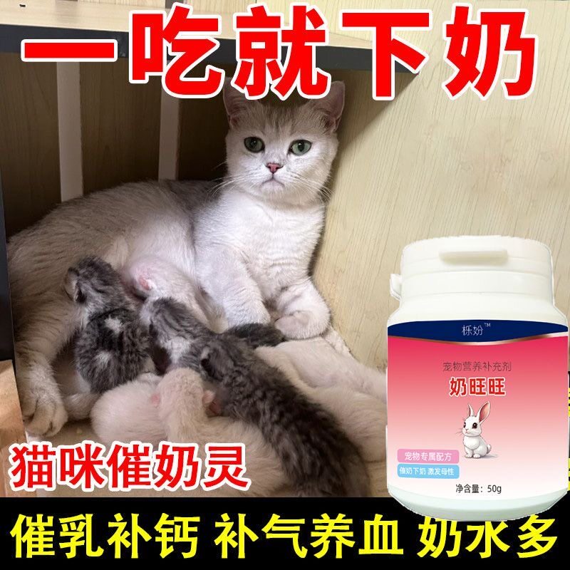 猫咪产后虚不受补奶旺旺母猫滋补营养品瓶装粉剂宠物保健品