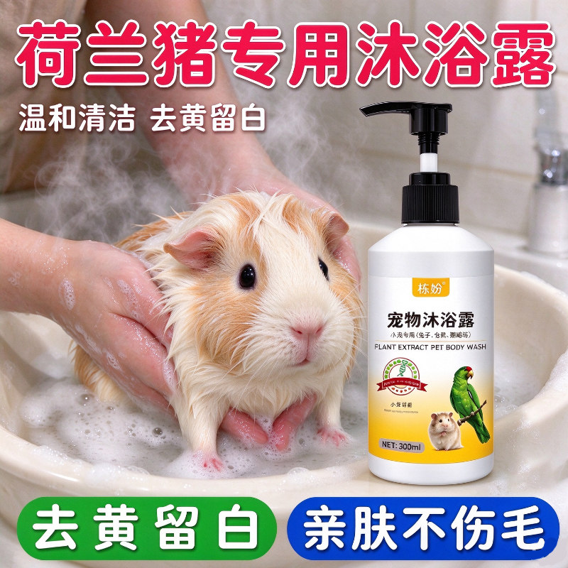 荷兰猪沐浴露专用洗澡驱虫液豚鼠体外去跳蚤虱子螨虫除臭止痒香波