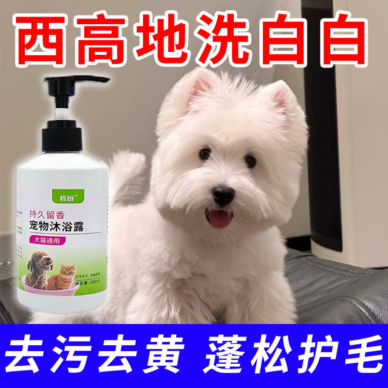 西高地专用沐浴露亮白去黄狗狗白毛犬沐浴液宠物狗清洁用品香波