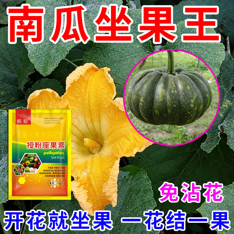 南瓜授粉座果精无需粘花催花坐果灵茄瓜授粉露保花保果专用剂