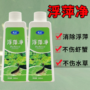 养殖不伤藕虾蟹圆心萍浮净化水质绿藻青苔水藻褐藻浮萍净