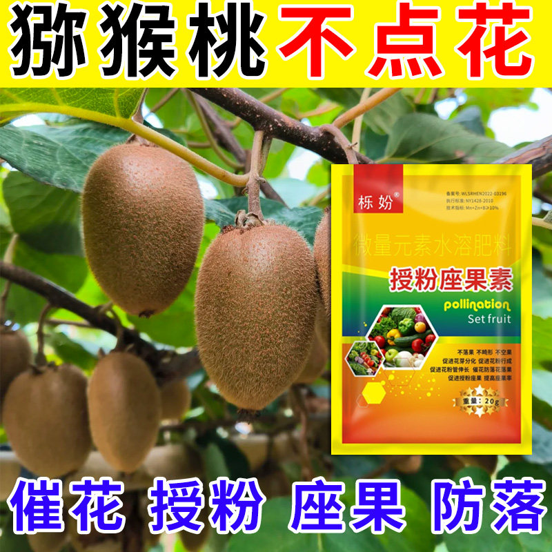 猕猴桃授粉座果精无需粘花催花坐果灵茄瓜授粉露保花保果专用剂
