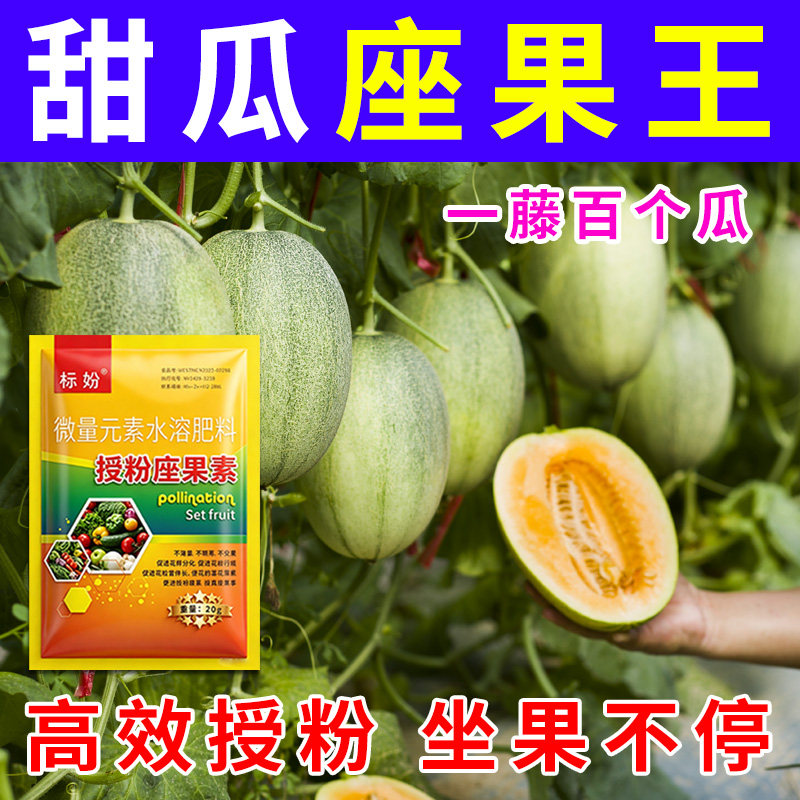 甜瓜授粉座果精无需粘花催花坐果灵茄瓜授粉露保花保果专用剂