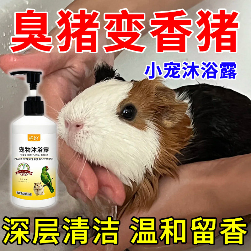 荷兰猪沐浴露除臭专用豚鼠荷兰猪沐浴露抗菌除臭除螨豚鼠洗澡用品