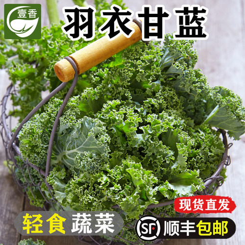 新鲜羽衣甘蓝西餐沙拉榨汁蔬菜