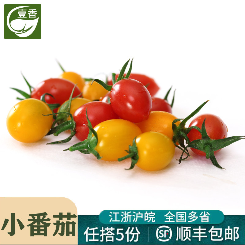 壹香 红黄小番茄450g 新鲜圣女果彩色小西红柿樱桃番茄沙拉食材,水产肉类/新鲜蔬果/熟食,番茄,淘宝优惠券,粉丝福利购,淘宝优惠卷