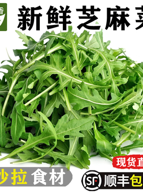 新鲜芝麻菜250g-5斤火箭菜蔬菜沙拉食材生菜西餐健身轻食色拉蔬菜