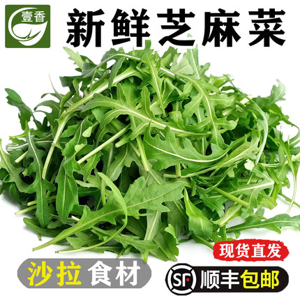 新鲜芝麻菜250g-5斤火箭菜蔬菜沙拉食材生菜西餐健身轻食色拉蔬菜
