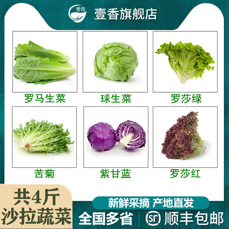 新鲜蔬菜沙拉4斤 生吃沙拉菜组合混合色拉西餐食材套餐健身轻食餐