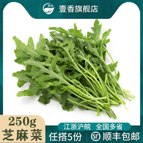 新鲜芝麻菜凉拌生吃沙拉蔬菜食材